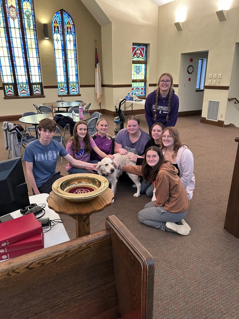 On September 22nd, 2025 EHS held their annual Day of Service. All 9th, 10th and 12th graders reported to 34 sites in the community and surrounding areas. Some of the sites included Camp Pepin, Pierce County Fairgrounds, Habitat for Humanity, Elsie’s Barnyard, and highway clean up. A number of students also worked with community members on service learning capstone projects and helped with garbage clean up. Some painted benches at Summit Park while others worked on the ballfields at Brown Field in Hager City. We are so grateful to all of our community partners for their help with projects and encouraging our students in making connections and learning new skills!