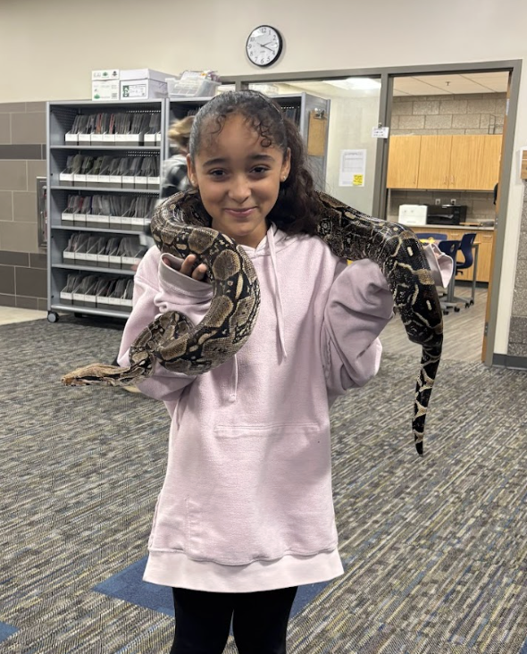 Fourth graders just wrapped up their Unit 1 in science, where they explored animal structures and how animals use these features to gather information from their environment in order to get food and protect themselves. As an extension of their learning, they had the exciting opportunity for Snake Discovery to visit and present to them. Fourth graders participated in their “Snake, Rattle, and Roll” program. The presentation focused on the reptiles and amphibians that call Minnesota and Wisconsin home. Students had the chance to watch a salamander eat, touch shredded skin, and even hold a large snake for a truly hands on experience! 🐍🦎