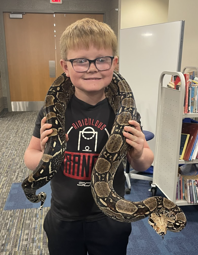 Fourth graders just wrapped up their Unit 1 in science, where they explored animal structures and how animals use these features to gather information from their environment in order to get food and protect themselves. As an extension of their learning, they had the exciting opportunity for Snake Discovery to visit and present to them. Fourth graders participated in their “Snake, Rattle, and Roll” program. The presentation focused on the reptiles and amphibians that call Minnesota and Wisconsin home. Students had the chance to watch a salamander eat, touch shredded skin, and even hold a large snake for a truly hands on experience! 🐍🦎