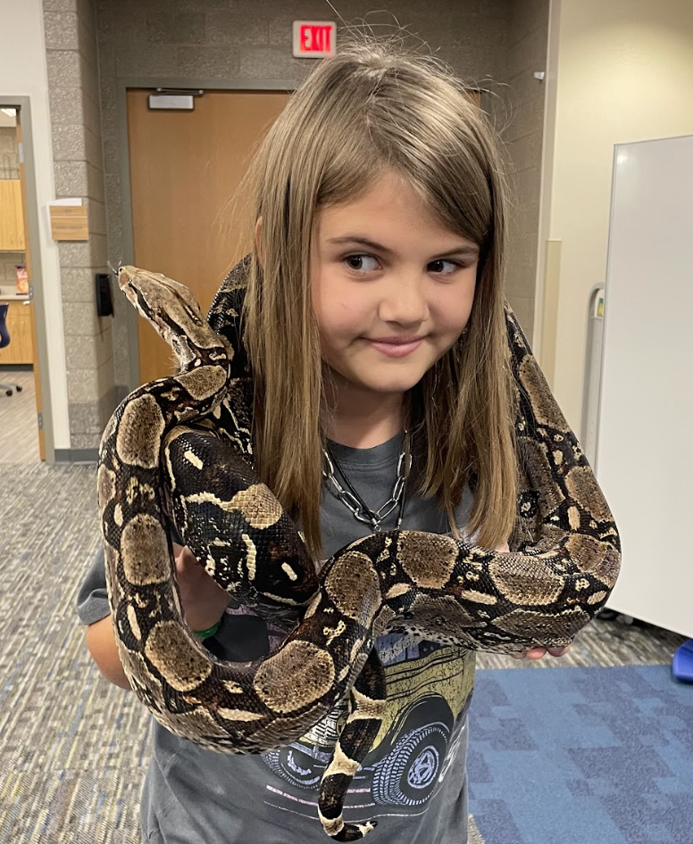 Fourth graders just wrapped up their Unit 1 in science, where they explored animal structures and how animals use these features to gather information from their environment in order to get food and protect themselves. As an extension of their learning, they had the exciting opportunity for Snake Discovery to visit and present to them. Fourth graders participated in their “Snake, Rattle, and Roll” program. The presentation focused on the reptiles and amphibians that call Minnesota and Wisconsin home. Students had the chance to watch a salamander eat, touch shredded skin, and even hold a large snake for a truly hands on experience! 🐍🦎