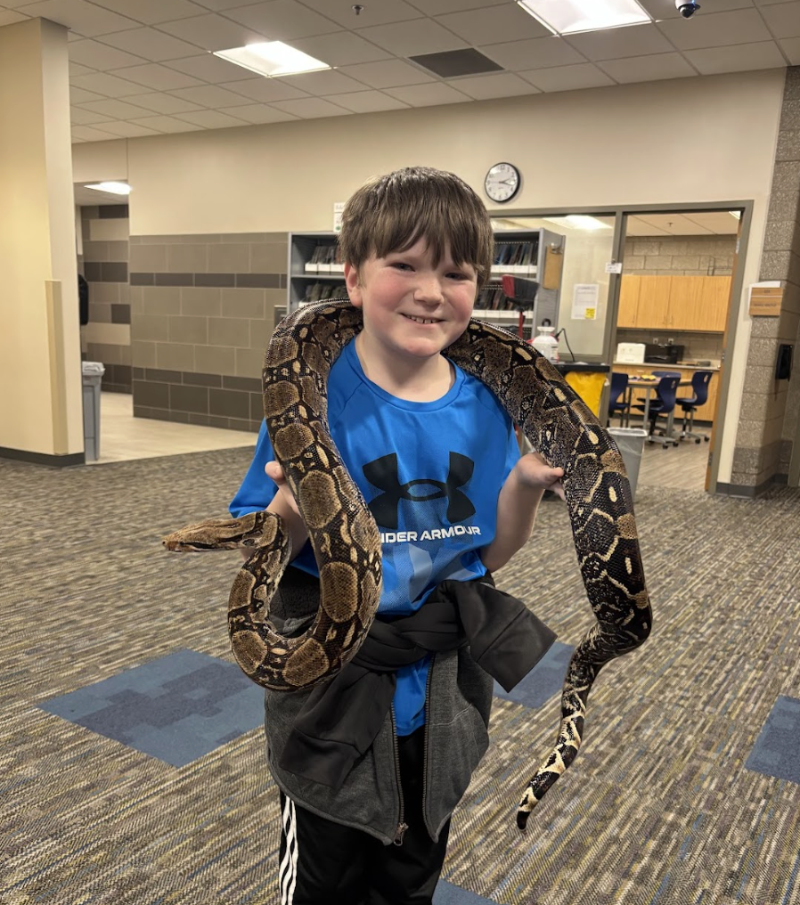 Fourth graders just wrapped up their Unit 1 in science, where they explored animal structures and how animals use these features to gather information from their environment in order to get food and protect themselves. As an extension of their learning, they had the exciting opportunity for Snake Discovery to visit and present to them. Fourth graders participated in their “Snake, Rattle, and Roll” program. The presentation focused on the reptiles and amphibians that call Minnesota and Wisconsin home. Students had the chance to watch a salamander eat, touch shredded skin, and even hold a large snake for a truly hands on experience! 🐍🦎