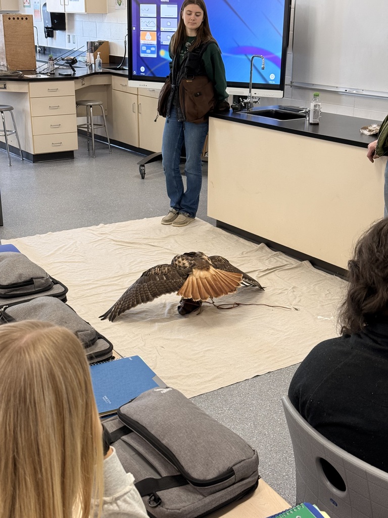 🦅 What an amazing experience for our students! We were excited to welcome Steve Kaufer back again this year to share his falconry expertise with Mrs. Klecker’s Biology classes. Steve and his daughter Bethany, now an 11th grader, brought in two incredible birds and a whole lot of knowledge and passion. Steve talked with students about the history of falconry, how he first became interested, the unique skills and adaptations of different birds of prey, and how important these birds are to keeping ecosystems in balance. He also shared how falconry has become something special he gets to do with his family. Students had the chance to meet Merida, a Red Tailed Hawk and Bethany’s bird, along with a Merlin, and learn how their different traits help them survive in the wild. Some students even got to hold the birds, which made the experience even more memorable. We also had students from Ms. Sara White’s Room 220 join in on the fun. A big thank you to Steve and Bethany for another fantastic visit. If you want to see more of their falconry adventures, you can follow Steve on Instagram at sun_flower_steve.