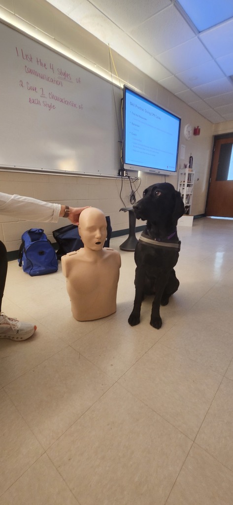 💜🩺 Thank you, ECSD Foundation! 🩺💜  We are so grateful to share that Nurse Jess applied for and received a grant from the Ellsworth School District Foundation to purchase new CPR manikins for our district. Last night, those new manikins were already put to use during a CPR class!  This generous support helps us continue certifying our staff, coaches, and students, giving them the skills and confidence to respond in an emergency.  A big shoutout as well to Madeline Poulos, our district CPR instructor. She is amazing and truly dedicated to making sure we are prepared to care for anyone who may enter our buildings and need medical attention.  Thank you again to the Ellsworth School District Foundation for supporting this important service for our schools and community. 🐾