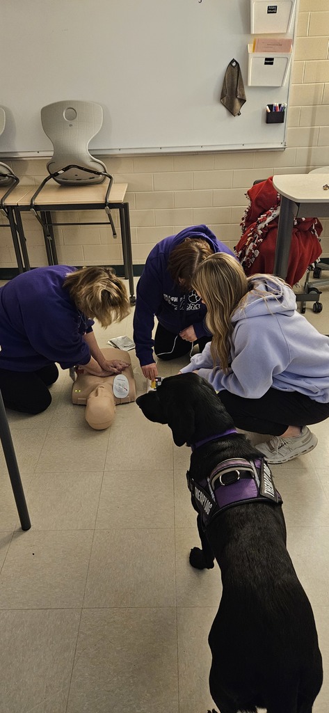 💜🩺 Thank you, ECSD Foundation! 🩺💜  We are so grateful to share that Nurse Jess applied for and received a grant from the Ellsworth School District Foundation to purchase new CPR manikins for our district. Last night, those new manikins were already put to use during a CPR class!  This generous support helps us continue certifying our staff, coaches, and students, giving them the skills and confidence to respond in an emergency.  A big shoutout as well to Madeline Poulos, our district CPR instructor. She is amazing and truly dedicated to making sure we are prepared to care for anyone who may enter our buildings and need medical attention.  Thank you again to the Ellsworth School District Foundation for supporting this important service for our schools and community. 🐾