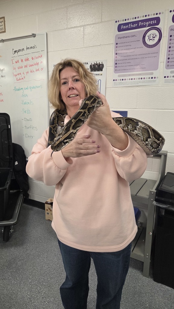 🐍🌿 Learning comes to life in Ag class!  Mrs. Christensen welcomed Jay from the MN Snake Discovery Center to speak with our students, and it was a hands-on learning experience they won’t forget!  He shared his expertise with several classes: • Wildlife, Forestry & Natural Resources – exploring where reptiles and snakes live in the wild • Animal Nutrition – understanding proper diets and what happens when animals don’t get what they need • Companion Animals – learning about popular reptiles and snakes as pets and how to care for them  Thank you to Jay for sharing your knowledge and giving our students a closer look at these fascinating animals! 💜🖤 #PantherPride