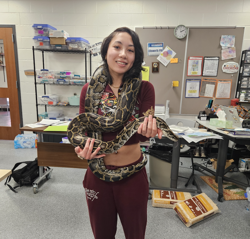 🐍🌿 Learning comes to life in Ag class!  Mrs. Christensen welcomed Jay from the MN Snake Discovery Center to speak with our students, and it was a hands-on learning experience they won’t forget!  He shared his expertise with several classes: • Wildlife, Forestry & Natural Resources – exploring where reptiles and snakes live in the wild • Animal Nutrition – understanding proper diets and what happens when animals don’t get what they need • Companion Animals – learning about popular reptiles and snakes as pets and how to care for them  Thank you to Jay for sharing your knowledge and giving our students a closer look at these fascinating animals! 💜🖤 #PantherPride
