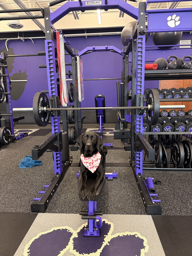 What’s Pudge been up to lately?! 🐾💜  💜 Lots of snuggles with all her friends 🐾 Testing out the new fitness equipment in the weight room (big fan!) 💜 Taking plenty of well-deserved naps 🐾 Causing a little chaos on her bed while Ms. Poulos is trying to teach 😄 💜 Cheering on and supporting the Ellsworth Baseball Team 🐾 Modeling her brand new bandana made by one of our talented sewing students  Life is pretty ruff when you’re this loved! 🐶💜