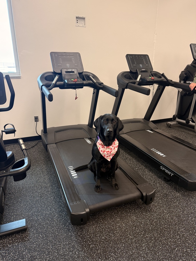 What’s Pudge been up to lately?! 🐾💜  💜 Lots of snuggles with all her friends 🐾 Testing out the new fitness equipment in the weight room (big fan!) 💜 Taking plenty of well-deserved naps 🐾 Causing a little chaos on her bed while Ms. Poulos is trying to teach 😄 💜 Cheering on and supporting the Ellsworth Baseball Team 🐾 Modeling her brand new bandana made by one of our talented sewing students  Life is pretty ruff when you’re this loved! 🐶💜