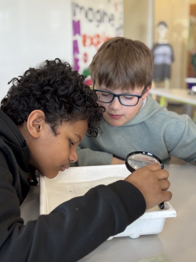 Our 5th graders at EES had a pretty awesome hands-on learning experience this week! 🐛 They got to take part in “Bugs in the Classroom” with Dean Hansen from the University of Minnesota. Dr. Hansen brought along some of the coolest aquatic bugs you’ve ever seen and shared his knowledge in a way that really got students engaged and curious. It’s always an exciting project for our 5th graders, and we appreciate the support of the KiapTUWish Chapter of Trout Unlimited in making experiences like this possible. The best part? Students will get to see some of these same types of bugs again when they do their trout release later this month in Trimbelle Creek! 🐟 What a great way to connect classroom learning to real-world experiences right here in our community. Panther Pride! 💜