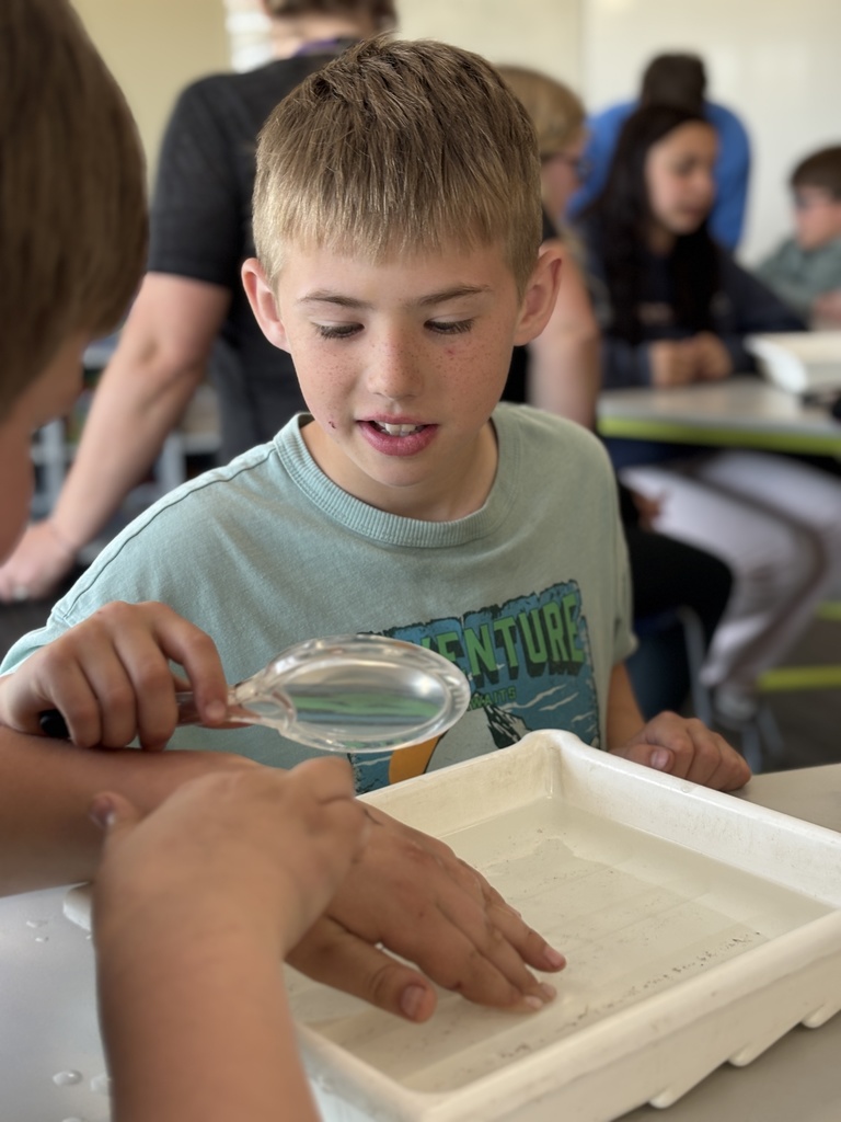 Our 5th graders at EES had a pretty awesome hands-on learning experience this week! 🐛 They got to take part in “Bugs in the Classroom” with Dean Hansen from the University of Minnesota. Dr. Hansen brought along some of the coolest aquatic bugs you’ve ever seen and shared his knowledge in a way that really got students engaged and curious. It’s always an exciting project for our 5th graders, and we appreciate the support of the KiapTUWish Chapter of Trout Unlimited in making experiences like this possible. The best part? Students will get to see some of these same types of bugs again when they do their trout release later this month in Trimbelle Creek! 🐟 What a great way to connect classroom learning to real-world experiences right here in our community. Panther Pride! 💜
