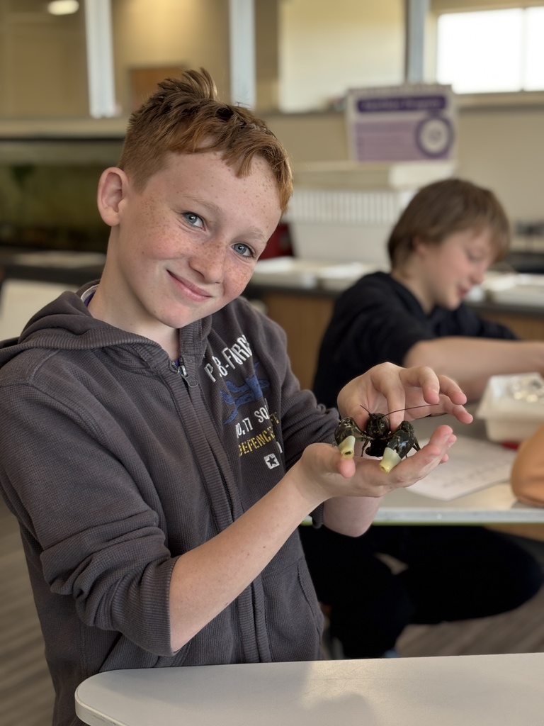 Our 5th graders at EES had a pretty awesome hands-on learning experience this week! 🐛 They got to take part in “Bugs in the Classroom” with Dean Hansen from the University of Minnesota. Dr. Hansen brought along some of the coolest aquatic bugs you’ve ever seen and shared his knowledge in a way that really got students engaged and curious. It’s always an exciting project for our 5th graders, and we appreciate the support of the KiapTUWish Chapter of Trout Unlimited in making experiences like this possible. The best part? Students will get to see some of these same types of bugs again when they do their trout release later this month in Trimbelle Creek! 🐟 What a great way to connect classroom learning to real-world experiences right here in our community. Panther Pride! 💜