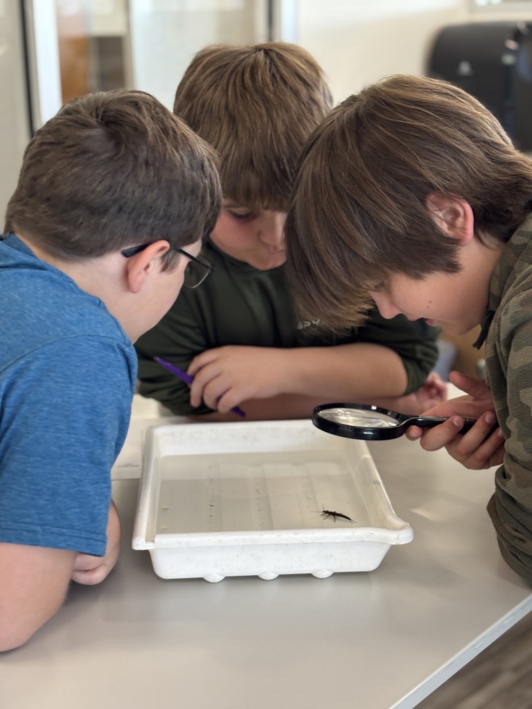 Our 5th graders at EES had a pretty awesome hands-on learning experience this week! 🐛 They got to take part in “Bugs in the Classroom” with Dean Hansen from the University of Minnesota. Dr. Hansen brought along some of the coolest aquatic bugs you’ve ever seen and shared his knowledge in a way that really got students engaged and curious. It’s always an exciting project for our 5th graders, and we appreciate the support of the KiapTUWish Chapter of Trout Unlimited in making experiences like this possible. The best part? Students will get to see some of these same types of bugs again when they do their trout release later this month in Trimbelle Creek! 🐟 What a great way to connect classroom learning to real-world experiences right here in our community. Panther Pride! 💜