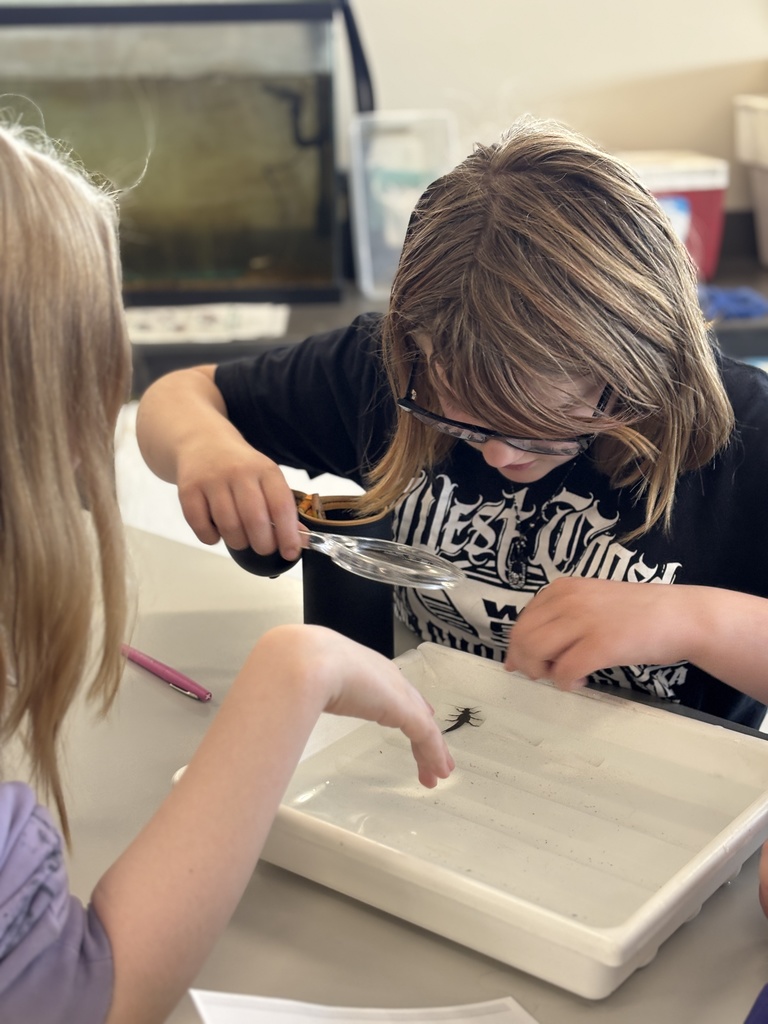Our 5th graders at EES had a pretty awesome hands-on learning experience this week! 🐛 They got to take part in “Bugs in the Classroom” with Dean Hansen from the University of Minnesota. Dr. Hansen brought along some of the coolest aquatic bugs you’ve ever seen and shared his knowledge in a way that really got students engaged and curious. It’s always an exciting project for our 5th graders, and we appreciate the support of the KiapTUWish Chapter of Trout Unlimited in making experiences like this possible. The best part? Students will get to see some of these same types of bugs again when they do their trout release later this month in Trimbelle Creek! 🐟 What a great way to connect classroom learning to real-world experiences right here in our community. Panther Pride! 💜