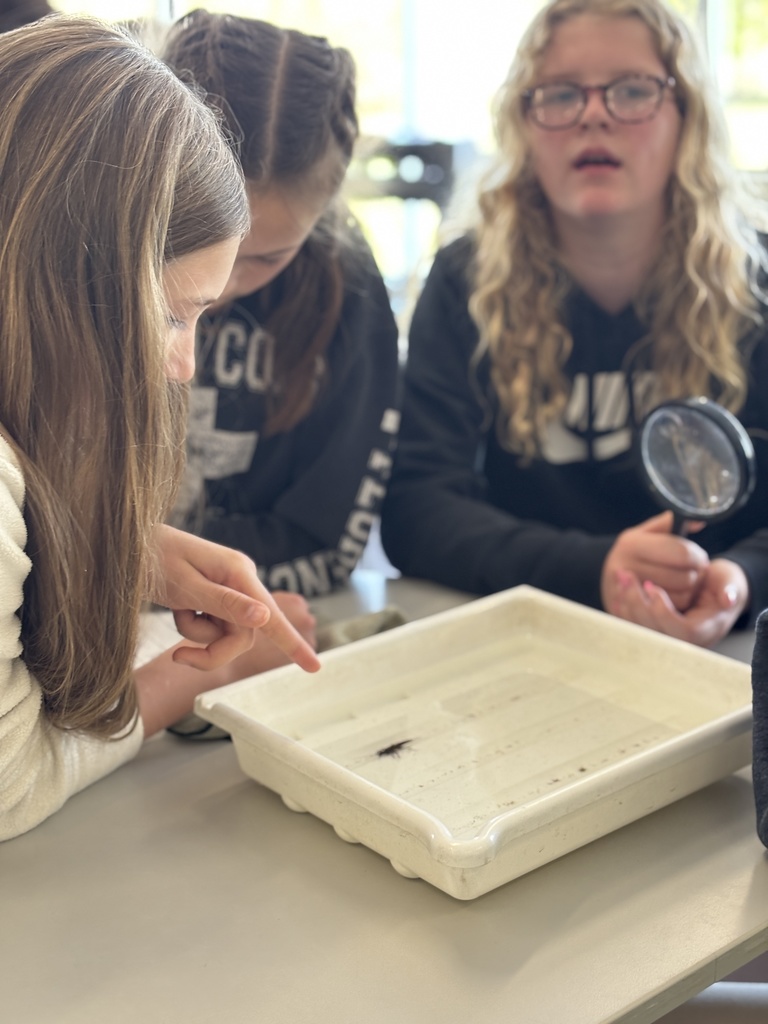 Our 5th graders at EES had a pretty awesome hands-on learning experience this week! 🐛 They got to take part in “Bugs in the Classroom” with Dean Hansen from the University of Minnesota. Dr. Hansen brought along some of the coolest aquatic bugs you’ve ever seen and shared his knowledge in a way that really got students engaged and curious. It’s always an exciting project for our 5th graders, and we appreciate the support of the KiapTUWish Chapter of Trout Unlimited in making experiences like this possible. The best part? Students will get to see some of these same types of bugs again when they do their trout release later this month in Trimbelle Creek! 🐟 What a great way to connect classroom learning to real-world experiences right here in our community. Panther Pride! 💜