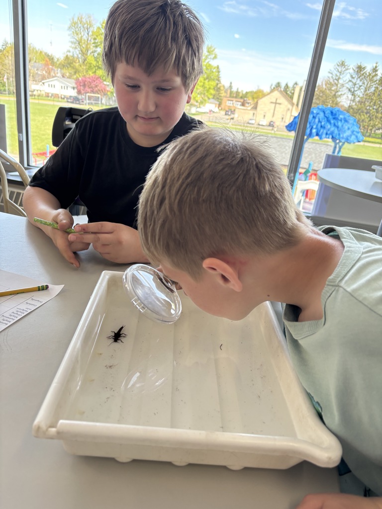 Our 5th graders at EES had a pretty awesome hands-on learning experience this week! 🐛  They got to take part in “Bugs in the Classroom” with Dean Hansen from the University of Minnesota. Dr. Hansen brought along some of the coolest aquatic bugs you’ve ever seen and shared his knowledge in a way that really got students engaged and curious.  It’s always an exciting project for our 5th graders, and we appreciate the support of the KiapTUWish Chapter of Trout Unlimited in making experiences like this possible.  The best part? Students will get to see some of these same types of bugs again when they do their trout release later this month in Trimbelle Creek! 🐟  What a great way to connect classroom learning to real-world experiences right here in our community. Panther Pride! 💜