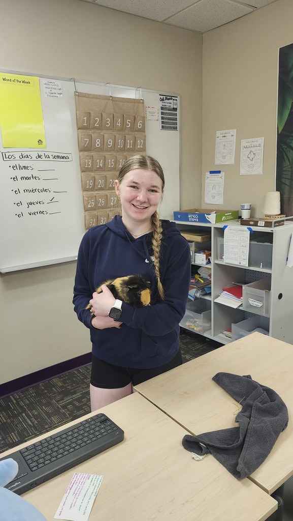 Mrs. Stingley’s Spanish 4 class recently put their language skills to the test with a fun “Show & Tell” activity... entirely in Spanish! Students were challenged to bring in three items to describe in Spanish while their classmates practiced their speaking skills by asking at least three questions in Spanish about each item. It was a great way to build confidence, strengthen communication skills, and make learning interactive and fun! The students did a wonderful job, and we wanted to share a few pictures from their presentations. Bonus cuteness alert: 🐹 Carly Girdeen even brought in her guinea pig, Moose, to be part of the fun! Great job, Spanish 4 students! 💜🐾