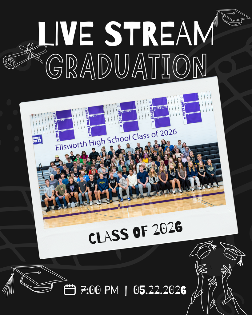 LIve Stream