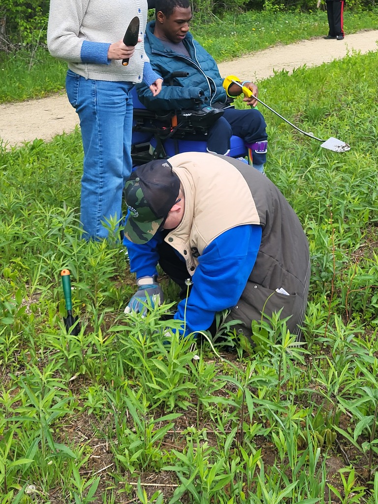 We partnered with Kinni River Trust again this year and learned about our local environment, from planting native plants and growing them in our classroom to raising catapillars into butterflies. We ended our lessons today by going to RF school forest to plant the seeds we raised.  Pictures include planting native seeds and learning about native plants and how they help the eco system. Learning about pollinators, raising catapillars to butterflies and visiting a wild prairie where we gathered with Prescott, River Falls and Have a Heart to plant what we grew!