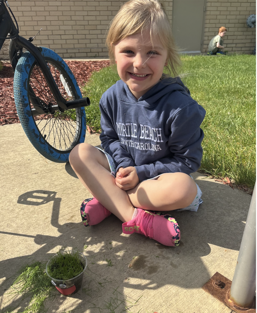 ✂️🌱 Time for a trim! 🌱✂️  For the past couple of weeks, Ms. Matter's 4K students have been busy growing their very own "grass heads." After carefully watering and watching them grow, the grass was finally long enough for a very important job... haircuts! 💇‍♀️💇‍♂️  The students had so much fun giving their grassy friends fresh new styles while learning about how plants grow. From buzz cuts to wild hairstyles, creativity was definitely on display in the classroom!  Great job, 4K gardeners! 🌿💚