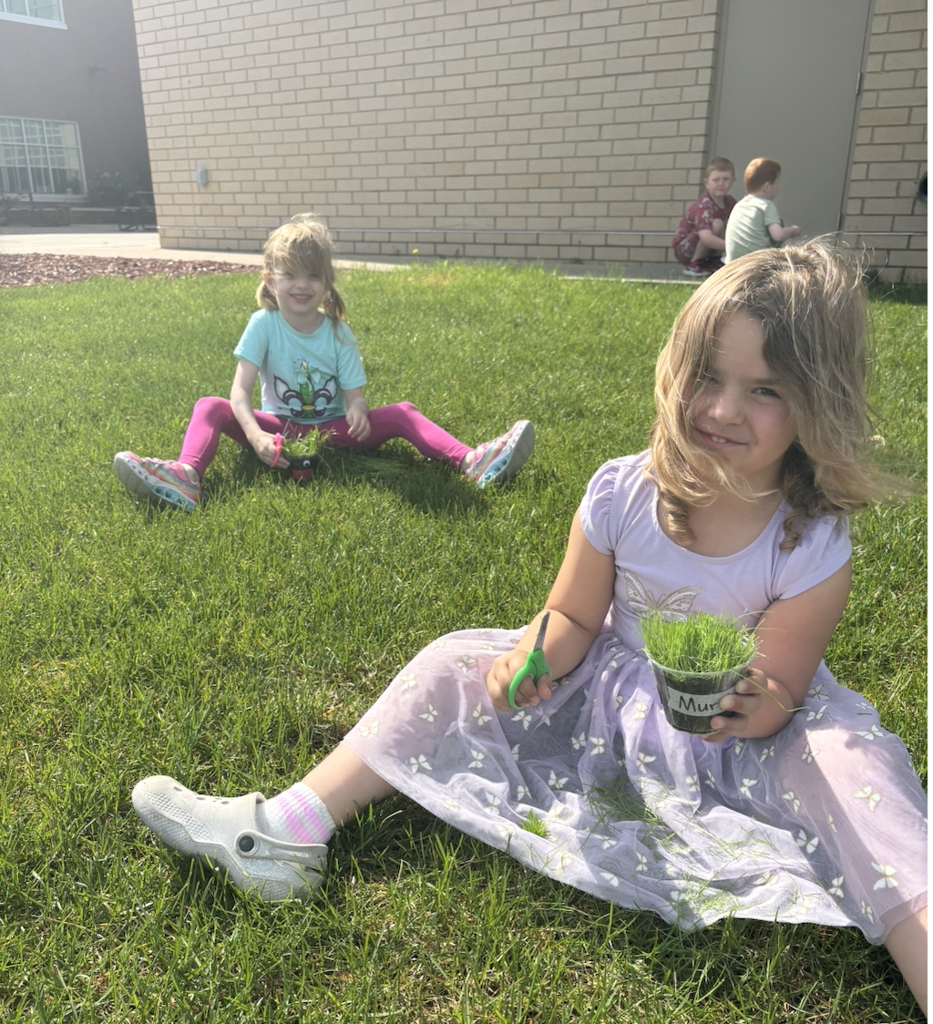 ✂️🌱 Time for a trim! 🌱✂️  For the past couple of weeks, Ms. Matter's 4K students have been busy growing their very own "grass heads." After carefully watering and watching them grow, the grass was finally long enough for a very important job... haircuts! 💇‍♀️💇‍♂️  The students had so much fun giving their grassy friends fresh new styles while learning about how plants grow. From buzz cuts to wild hairstyles, creativity was definitely on display in the classroom!  Great job, 4K gardeners! 🌿💚
