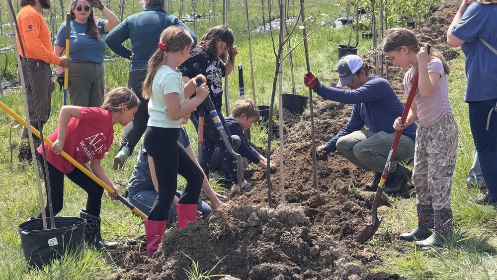 EEMS Tree Planting