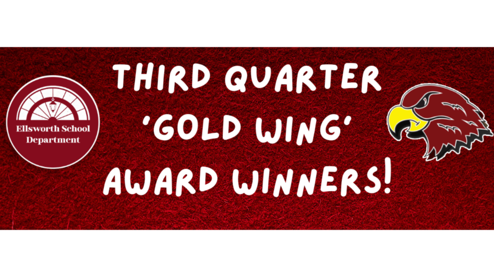 Q3 Gold Wing - EEMS