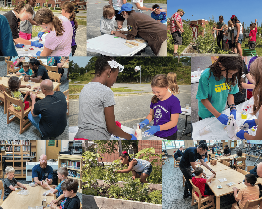 Collage of students from Falcon Summer Academy