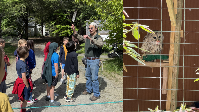 EEMS 3rd Graders visiting Birdsacre Sanctuary