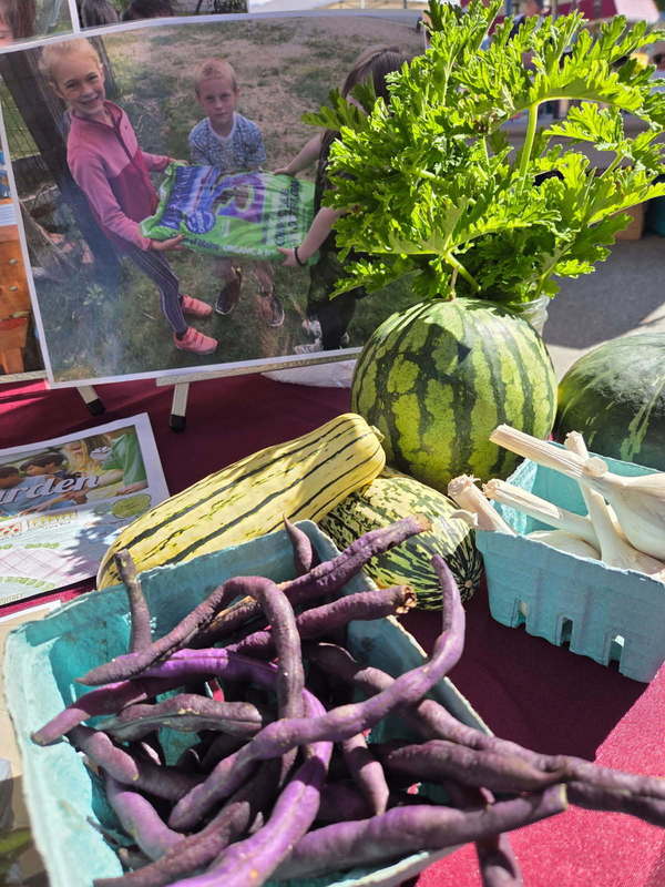 EEMS Garden Club - Autumn Gold