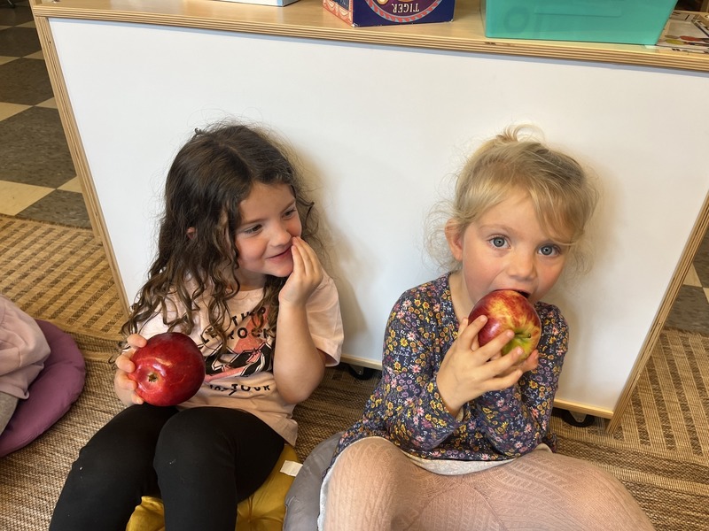 Apple Crunch Day