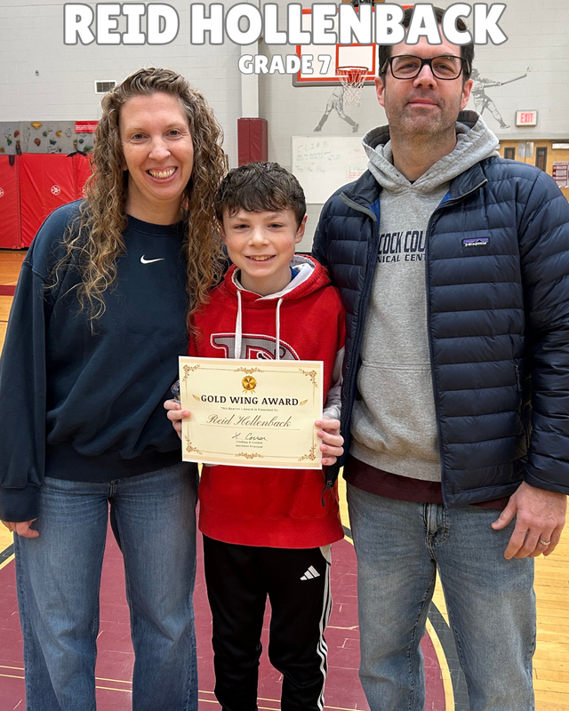 Reid Hollenback - Gold Wing