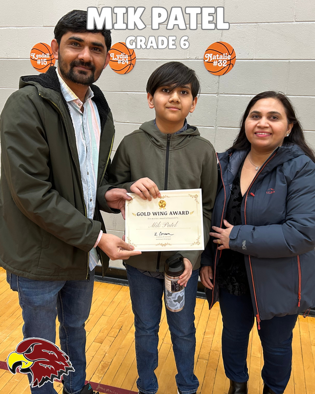 Mik Patel - Gold Wing