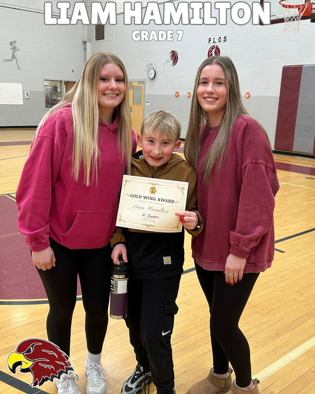 Liam Hamilton - Gold Wing