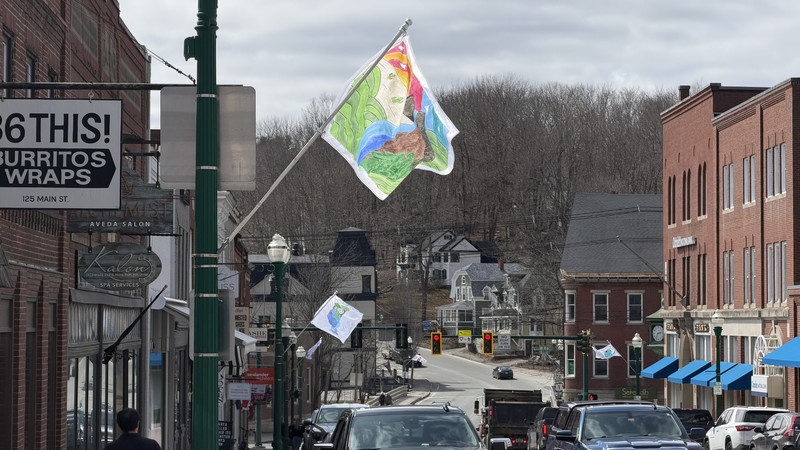 Earth Day Flags Downtown