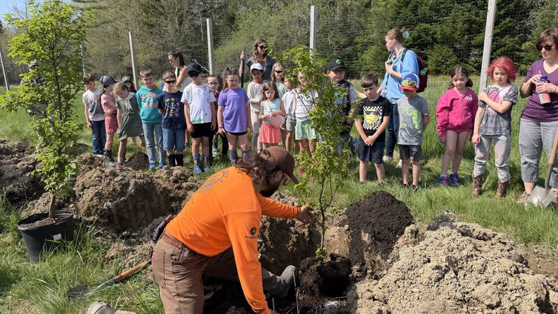 EEMS Tree Planting