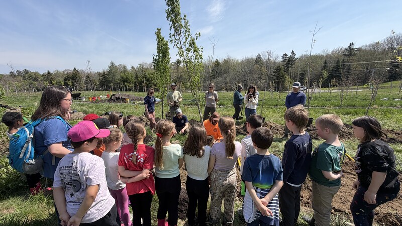 EEMS Tree Planting