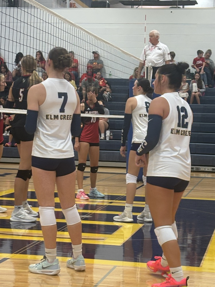 vb