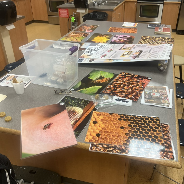 Bee Visit Resources