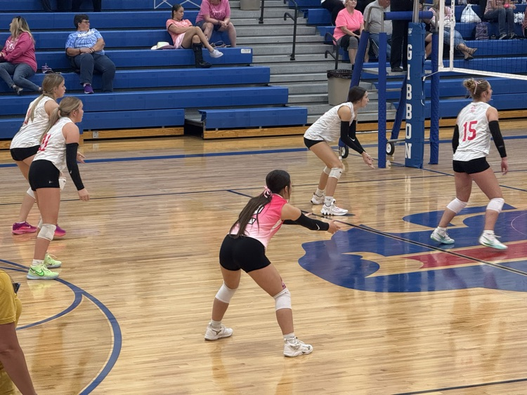 JV vb
