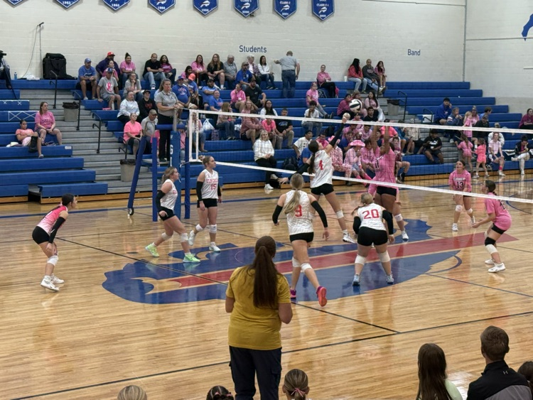 JV VB 