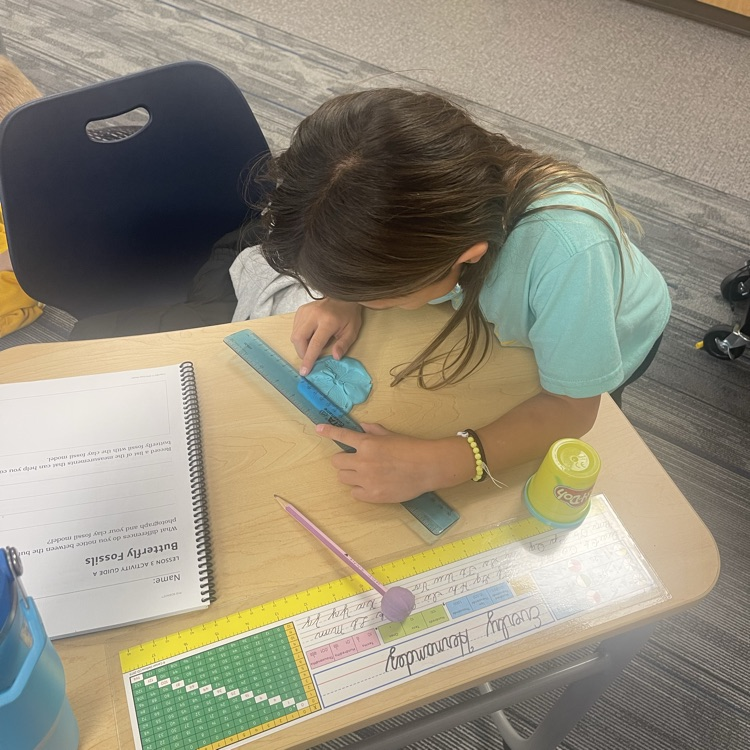 third graders making butterfly fossils
