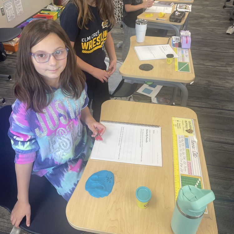 third graders making butterfly fossils