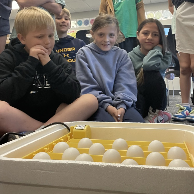 third grade embryology 