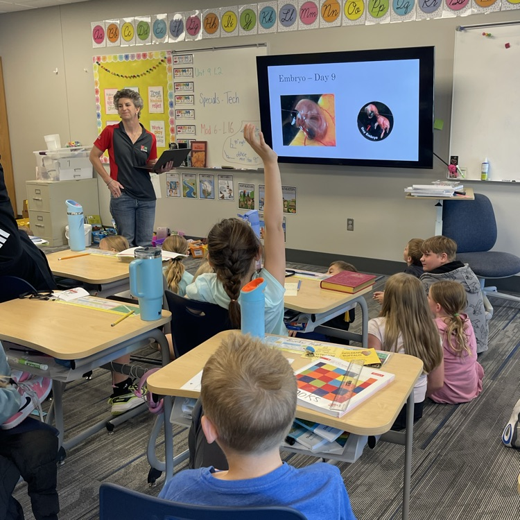 third grade embryology 