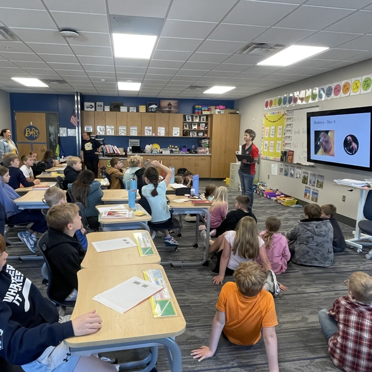 third grade embryology 