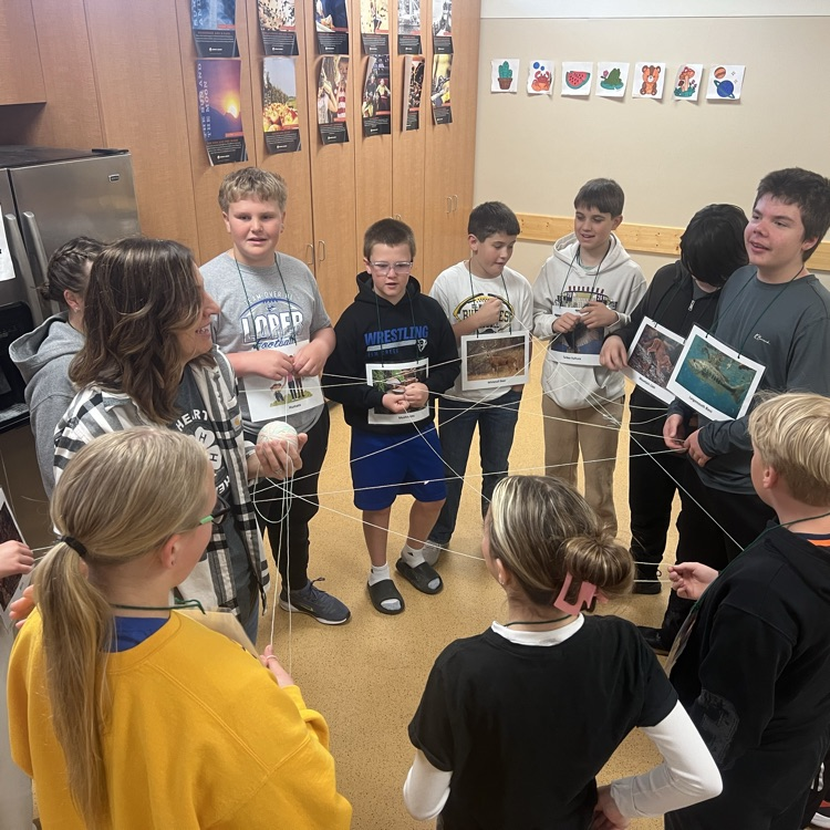 Everything is connected