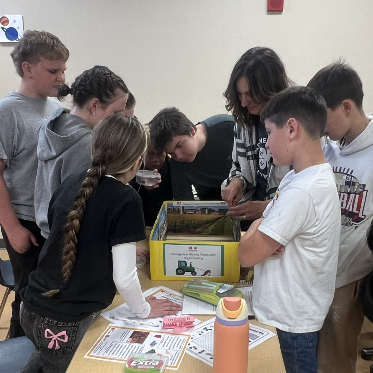 Cheering on their roach