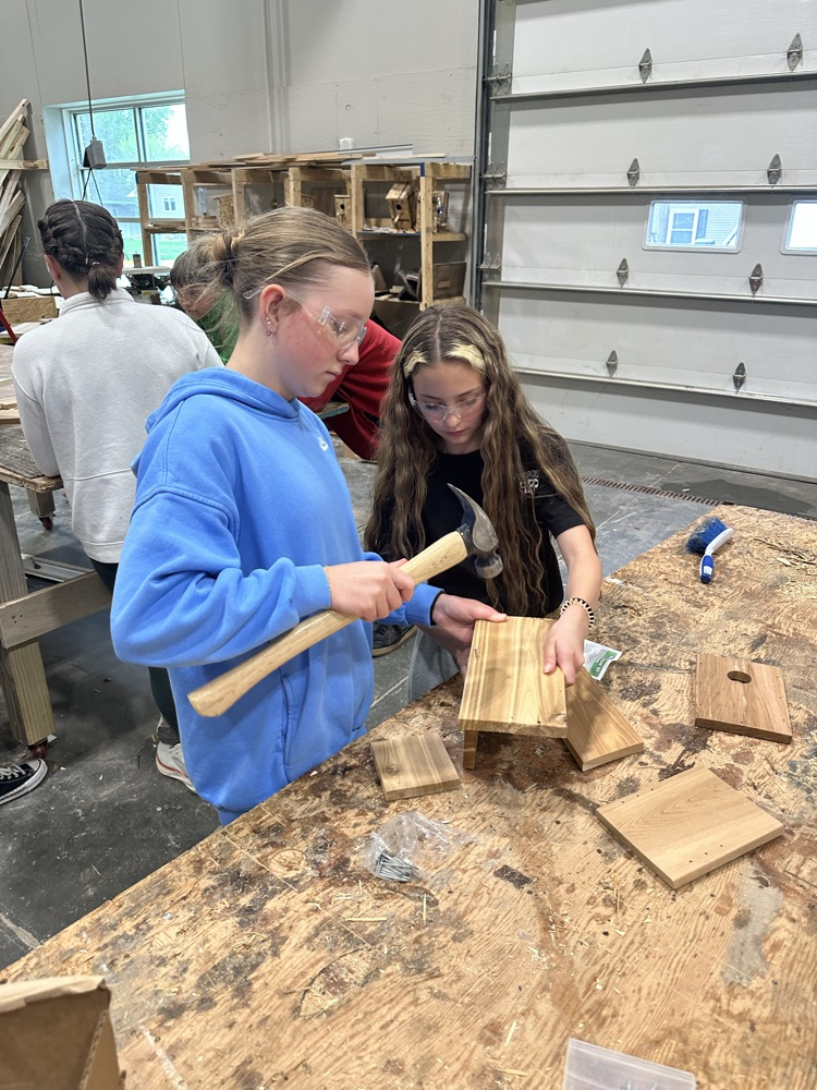 birdhouse assembly 