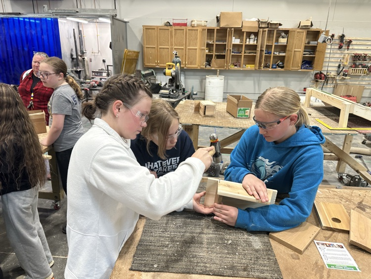 birdhouse assembly 