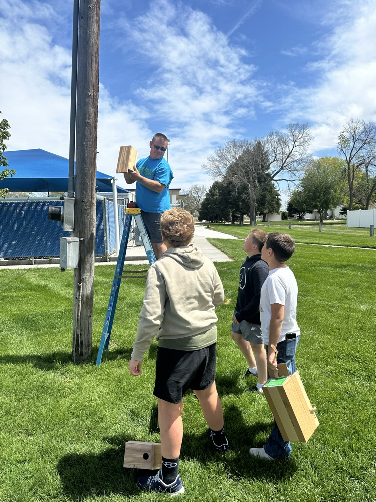 birdhouses at park